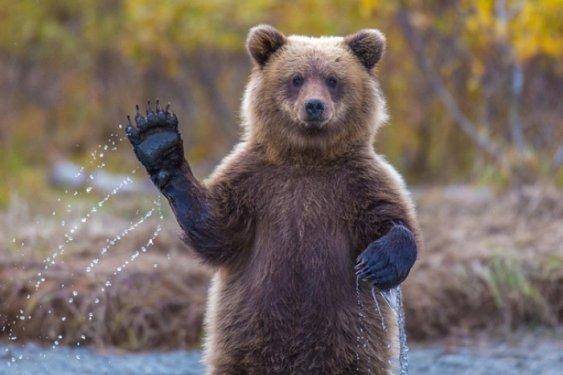 26'ncı kez düzenlenen National Geographic fotoğraf yarışması başladı