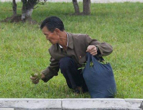 Dünyanın en otoriter ülkelerinden olan Kuzey Kore halkı 