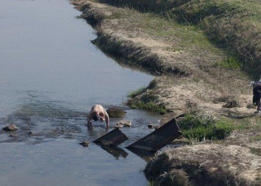 Dünyanın en otoriter ülkelerinden olan Kuzey Kore halkı 