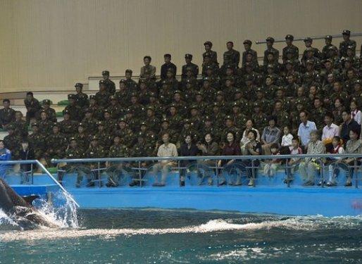 Dünyanın en otoriter ülkelerinden olan Kuzey Kore halkı 