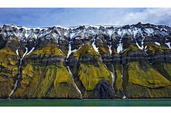 26'ncı kez düzenlenen National Geographic fotoğraf yarışması başladı