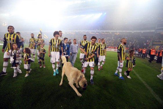 Fenerbahçe'nin şampiyonluk kutlamaları