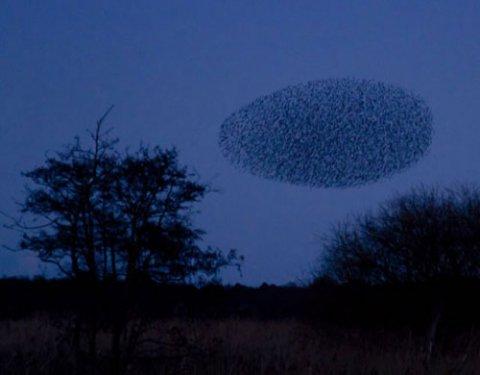 Yeryüzünün inanılmaz doğa harikaları 