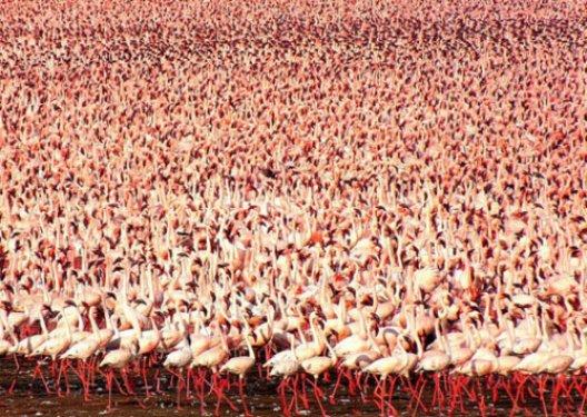 Yeryüzünün inanılmaz doğa harikaları 