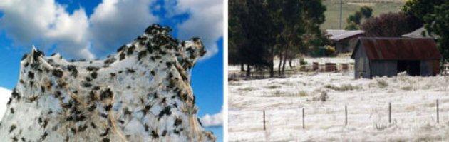 Yeryüzünün inanılmaz doğa harikaları 