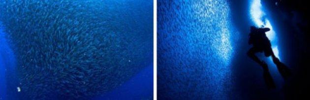 Yeryüzünün inanılmaz doğa harikaları 