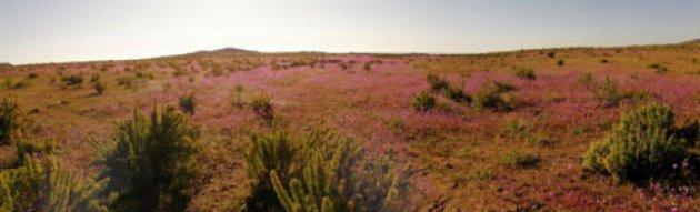 Yeryüzünün inanılmaz doğa harikaları 
