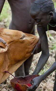 Etiyopya'da yaşayan Surma kabilesinin ilginç gelenekleri şaşırtıyor