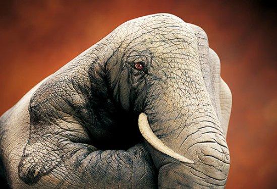 Vücut boyama sanatından ilginç çalışmalar