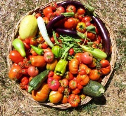 Cadde'den Bostan'a uzanan bir hayat 