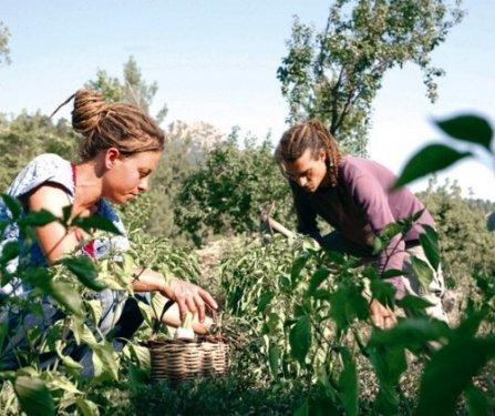 Cadde'den Bostan'a uzanan bir hayat 
