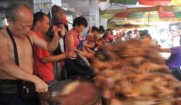 Çin'de köpek katliamı festivalle kutlanıyor