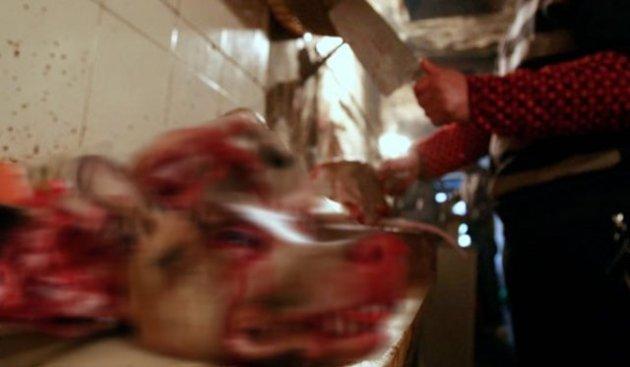 Çin'de köpek katliamı festivalle kutlanıyor