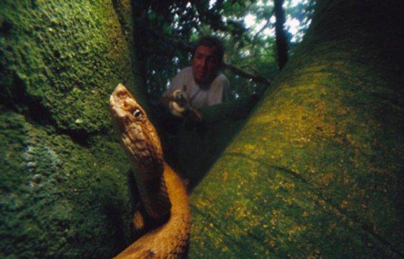 Dünyanın en tehlikeli adası