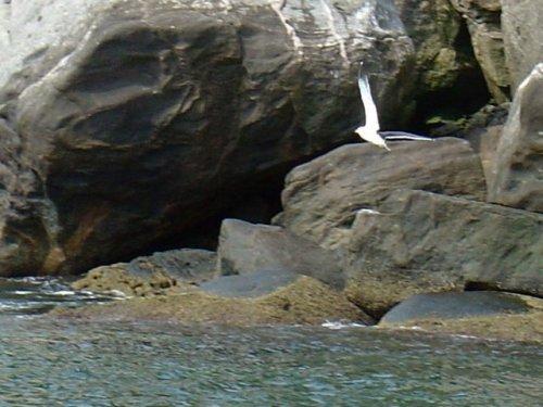 Dünyanın en tehlikeli adası