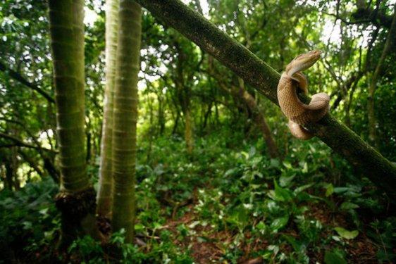 Dünyanın en tehlikeli adası