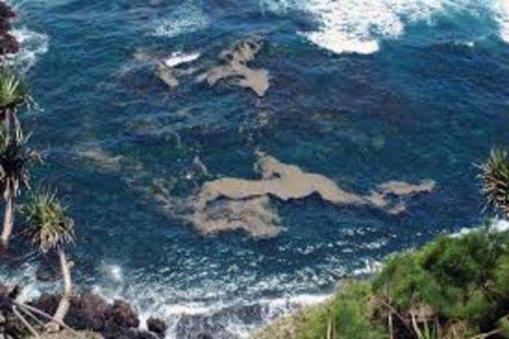 Dünyanın en tehlikeli adası