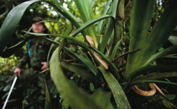Dünyanın en tehlikeli adası