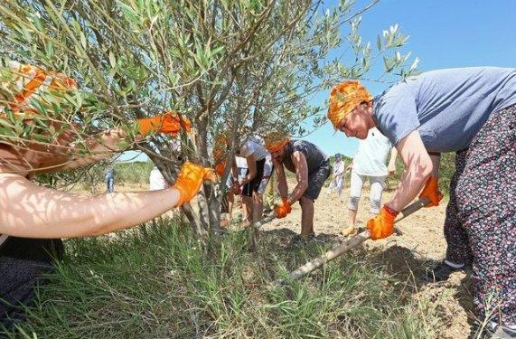 Vahide Perçin çapa yaptı