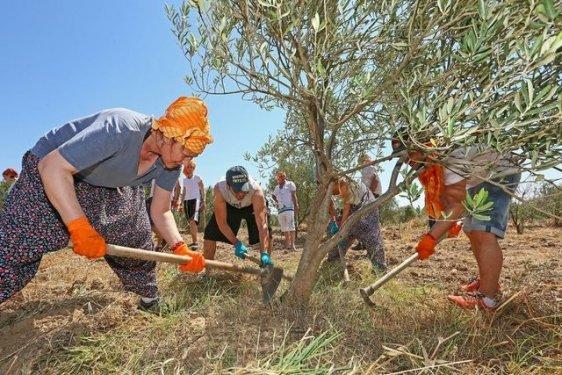 Vahide Perçin çapa yaptı