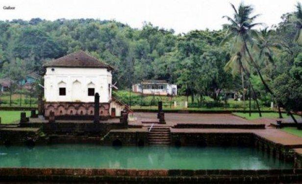 Dünya'nın en güzel 50 camisi