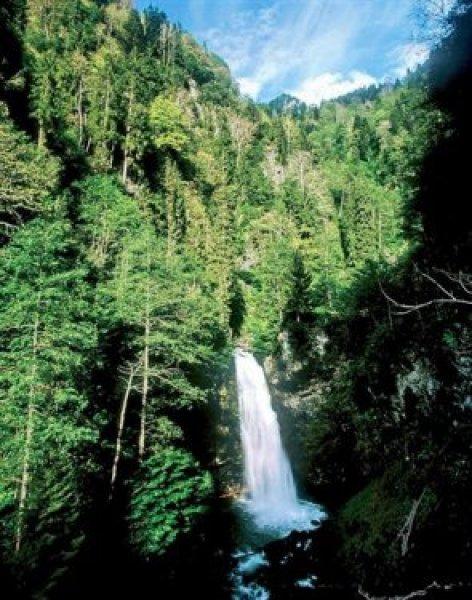 Türkiye'nin en güzel şelaleleri