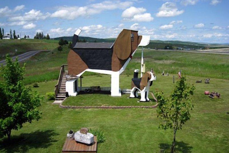 Hayvan figürü şeklinde ilginç evler