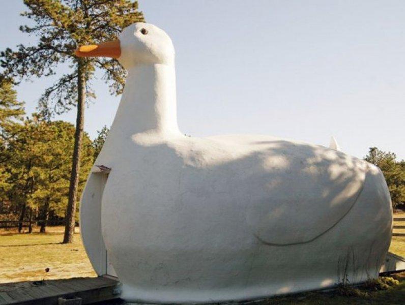 Hayvan figürü şeklinde ilginç evler