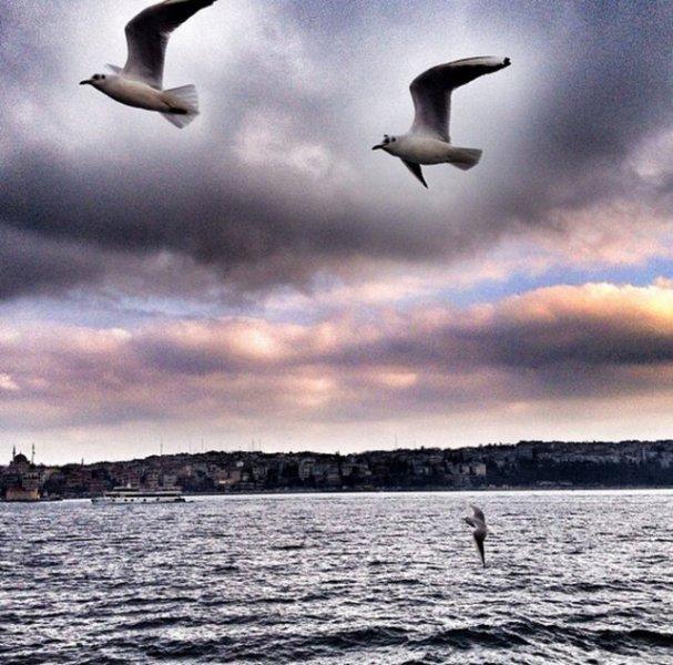 Ünlü yönetmen Ferzan Özpetek'in gözünden İstanbul