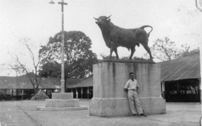Kadıköy'ün boğası 150 yaşında
