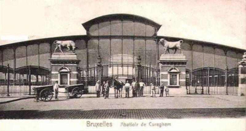 Kadıköy'ün boğası 150 yaşında