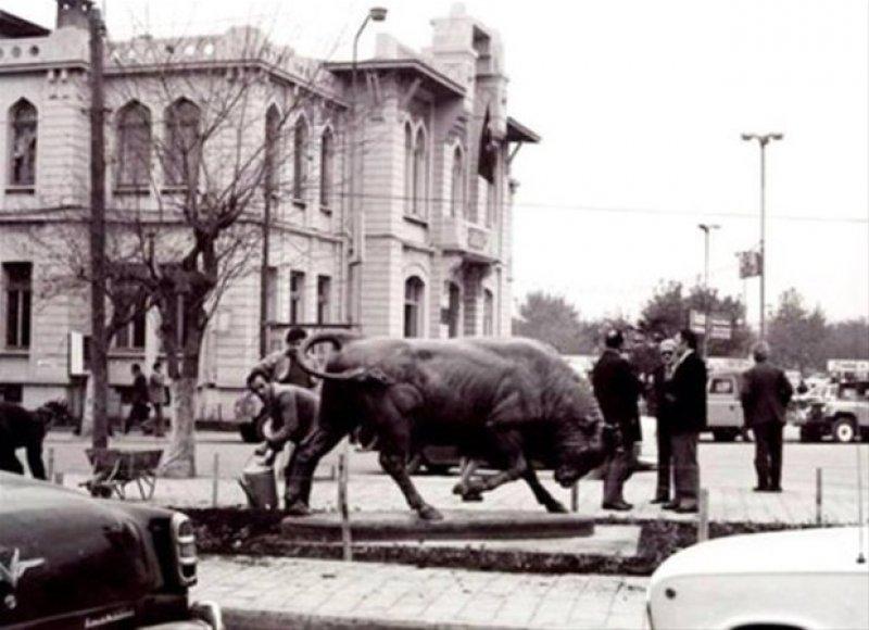 Kadıköy'ün boğası 150 yaşında