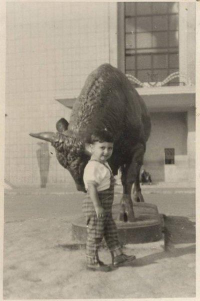 Kadıköy'ün boğası 150 yaşında