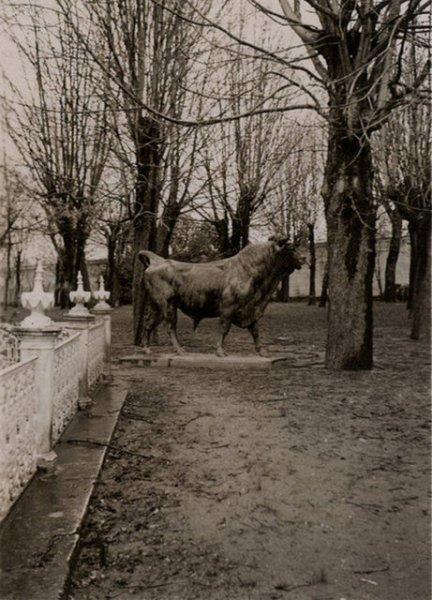 Kadıköy'ün boğası 150 yaşında