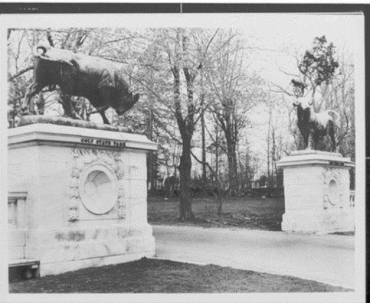 Kadıköy'ün boğası 150 yaşında