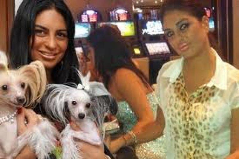 Süreyya Yalçın otomobiliyle çita gezdirdi