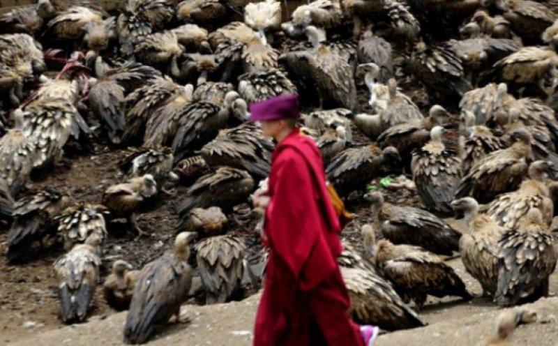 Hala gerçekleştirilen ayinler