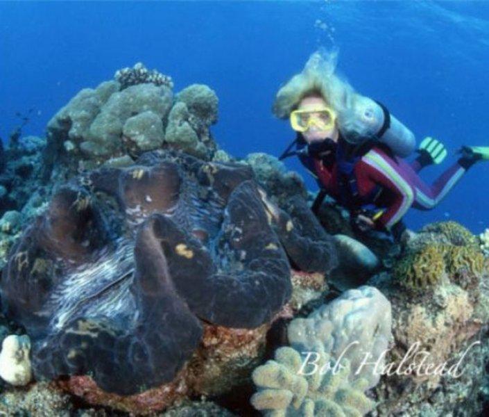 Evrim geçiren hayvanlar 