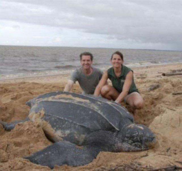 Evrim geçiren hayvanlar 