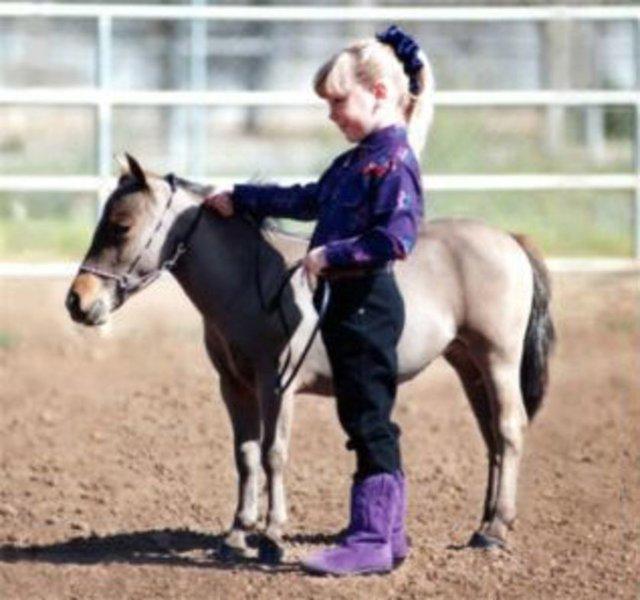 Evrim geçiren hayvanlar 