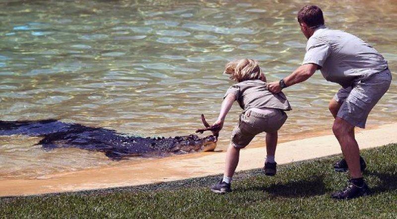 Timsah Avcısı Steewe Irwin'ın oğlu babasının yolunda