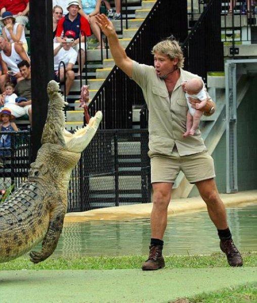 Timsah Avcısı Steewe Irwin'ın oğlu babasının yolunda