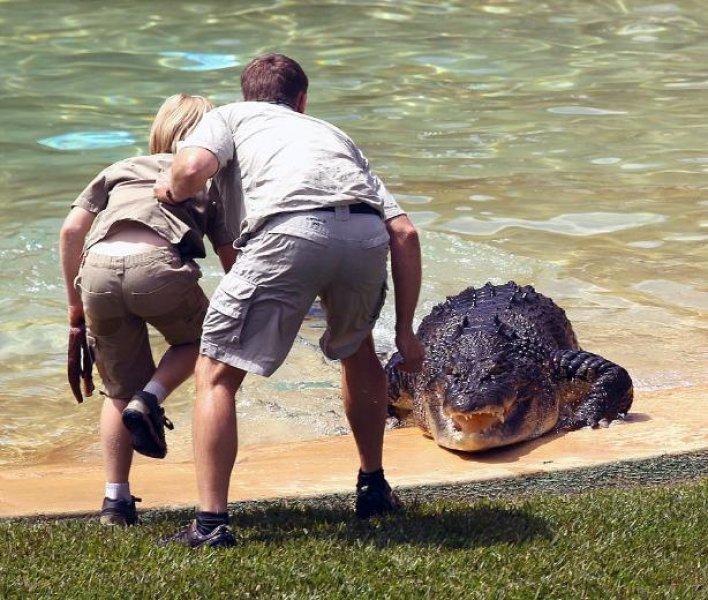 Timsah Avcısı Steewe Irwin'ın oğlu babasının yolunda