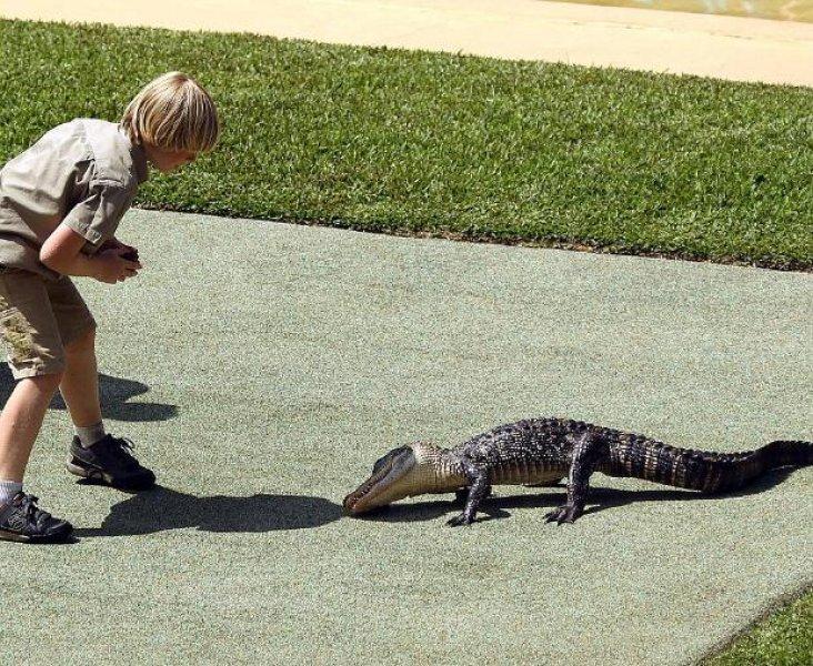 Timsah Avcısı Steewe Irwin'ın oğlu babasının yolunda