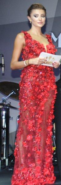 Ödül gecesinde Özge Ulusoy göz kamaştırdı 