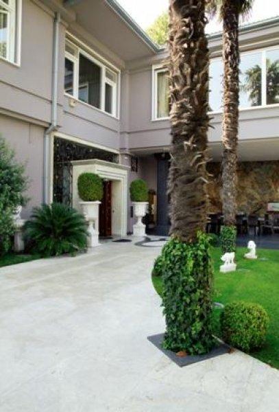 Feryal Gülman: Evimin duvarlarını öpüyorlar