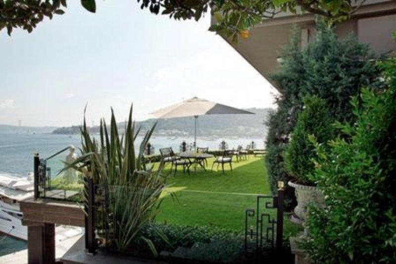 Feryal Gülman: Evimin duvarlarını öpüyorlar