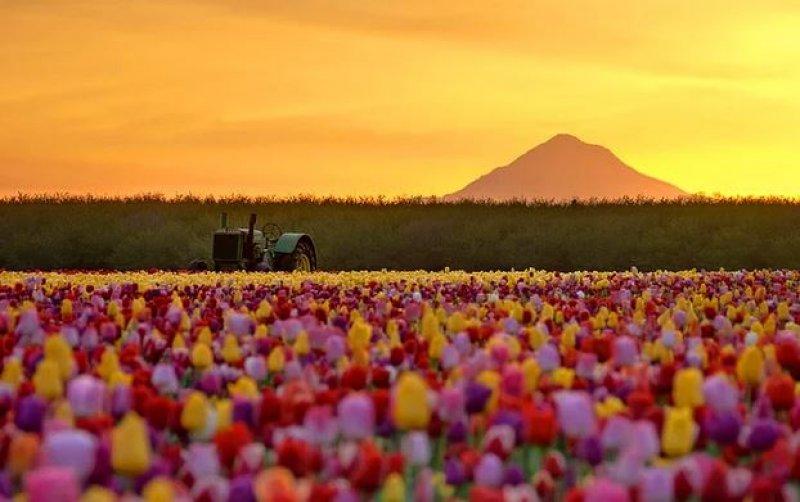 Mükemmel zamanlamayla çekilmiş en güzel fotoğraflar 