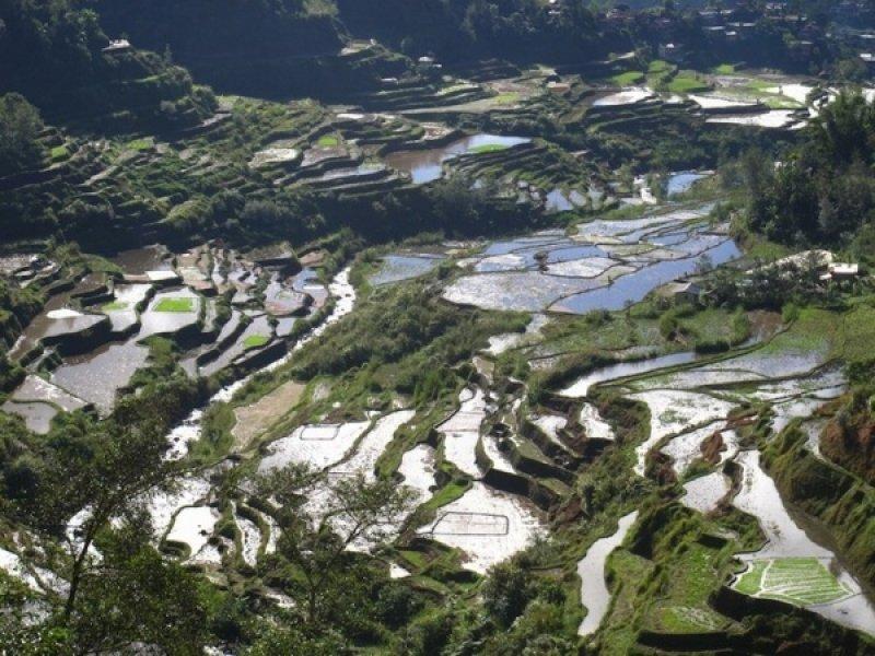 Mükemmel zamanlamayla çekilmiş en güzel fotoğraflar 