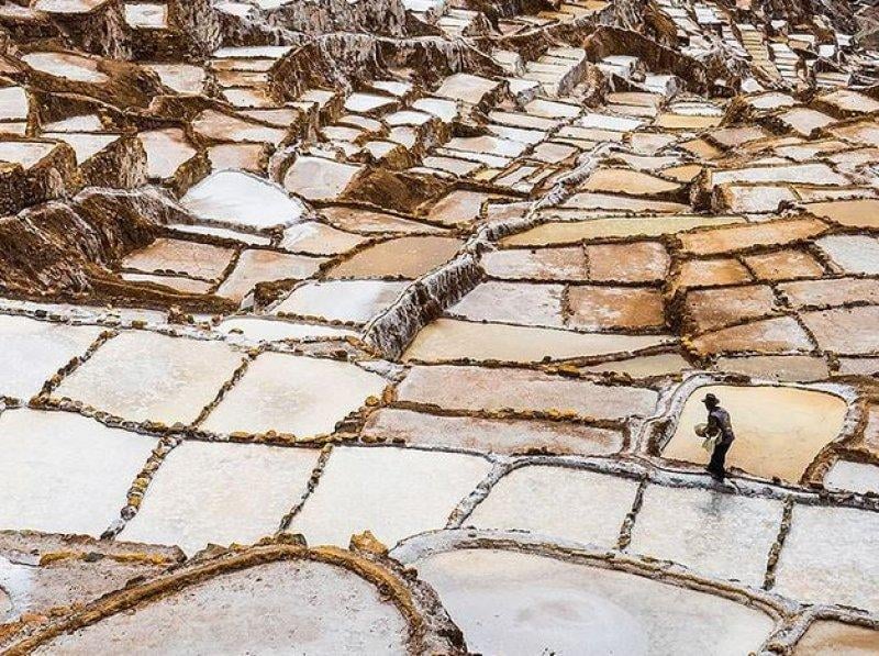 Mükemmel zamanlamayla çekilmiş en güzel fotoğraflar 